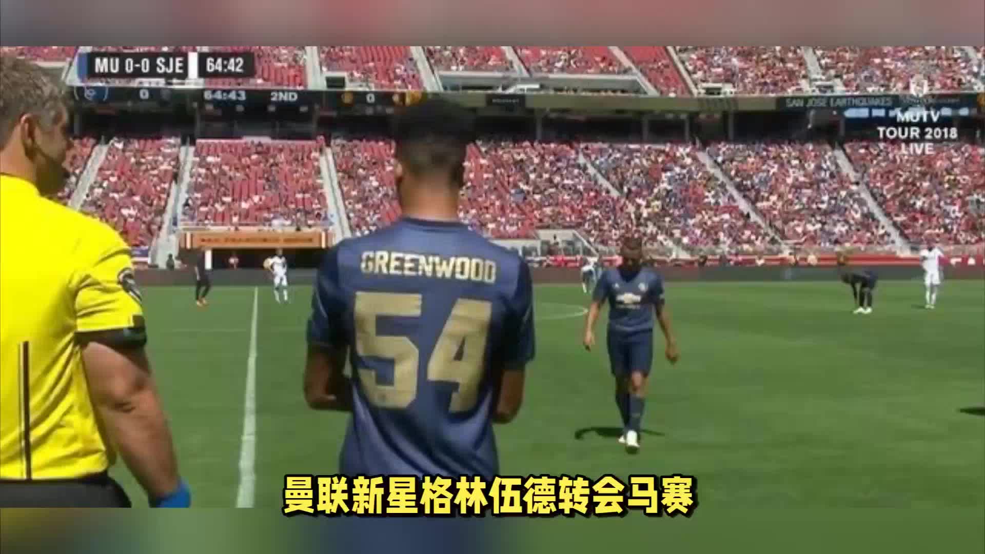 家队的